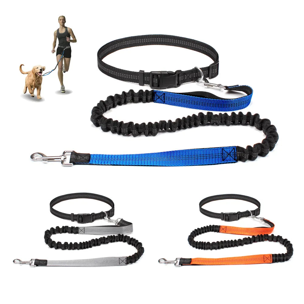 Petlovely Hands-Free Dog Leash for Pet Walking, Running, and Jogging