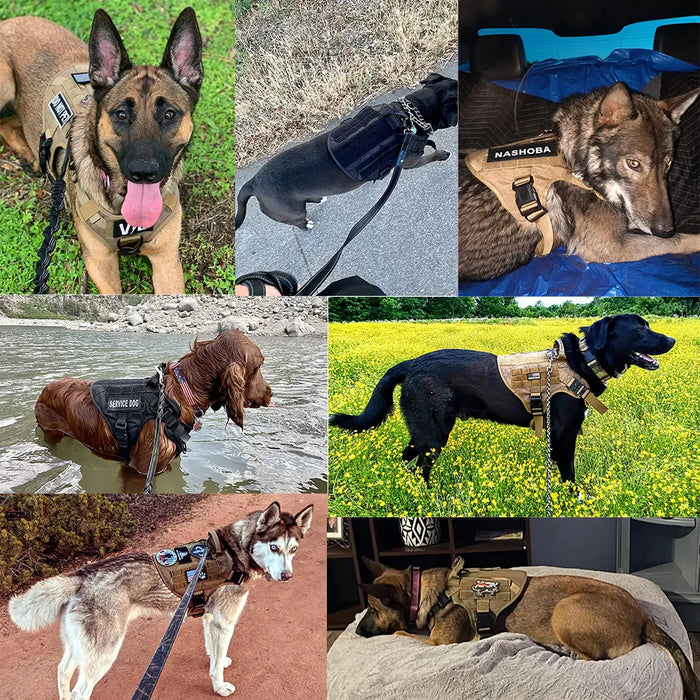 Tactical Vest Harness and Easy Control Training Collar with Bungee Leash Set All Dog Breeds