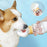 Portable Outdoor Water And Feeding Bowl