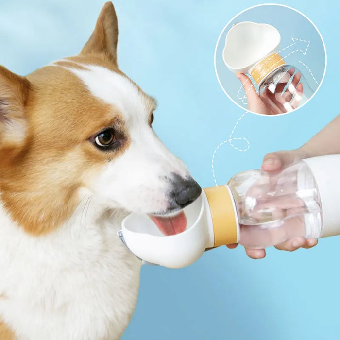 Portable Outdoor Water And Feeding Bowl