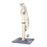 32" Tall Cat Scratching Posts For Indoor Cats Adults With 2 Toy Balls, 1 Dummy Mouse, Large Cat Scratch Post Includes Sisal Rope