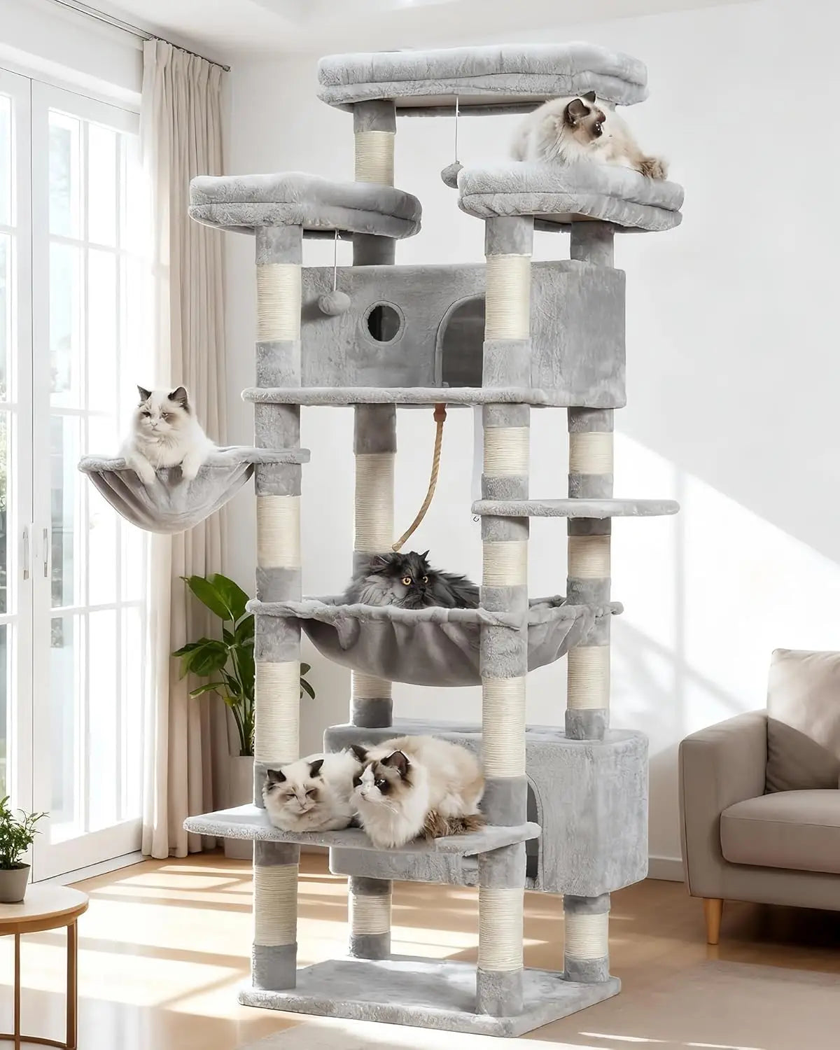 Cat Trees, Shelves, Posts, and Climbing Towers